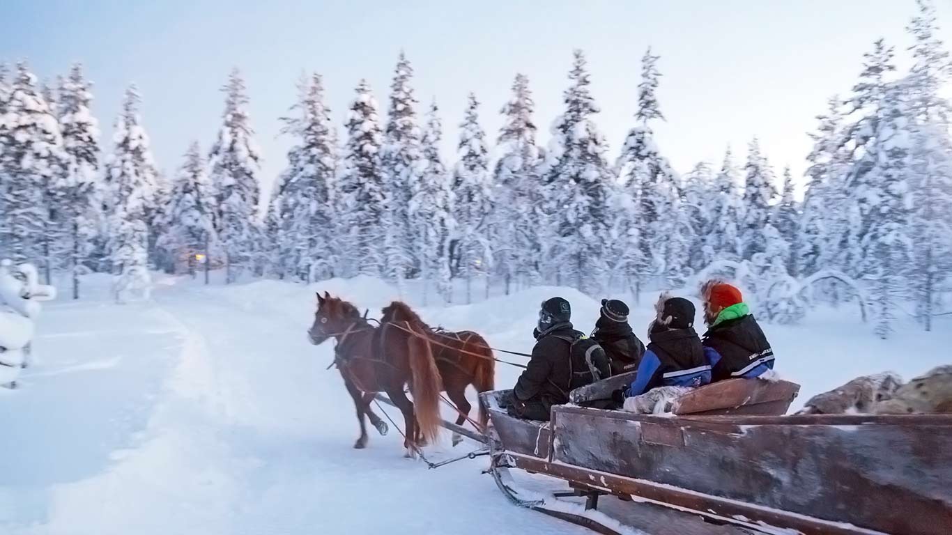 Horse-riding and sleigh rides