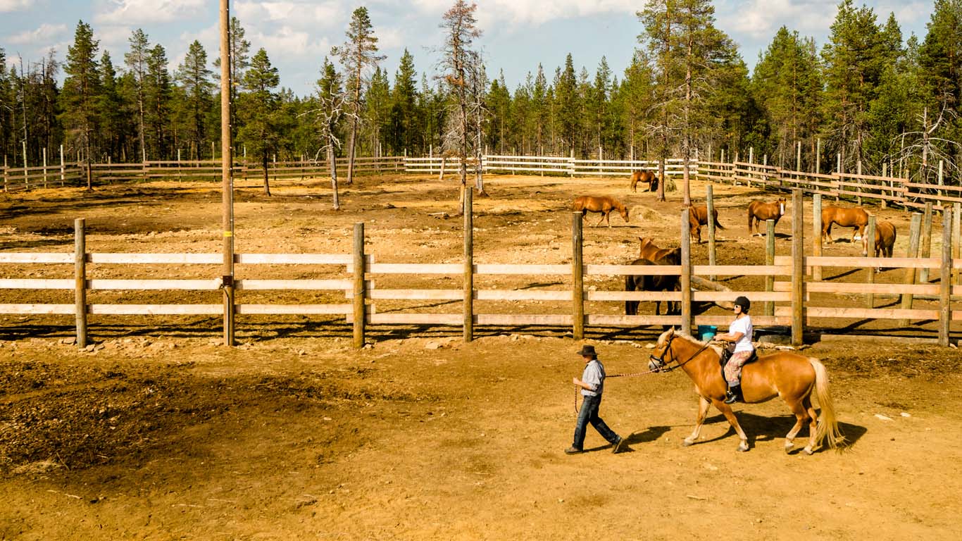 Passeio a cavalo