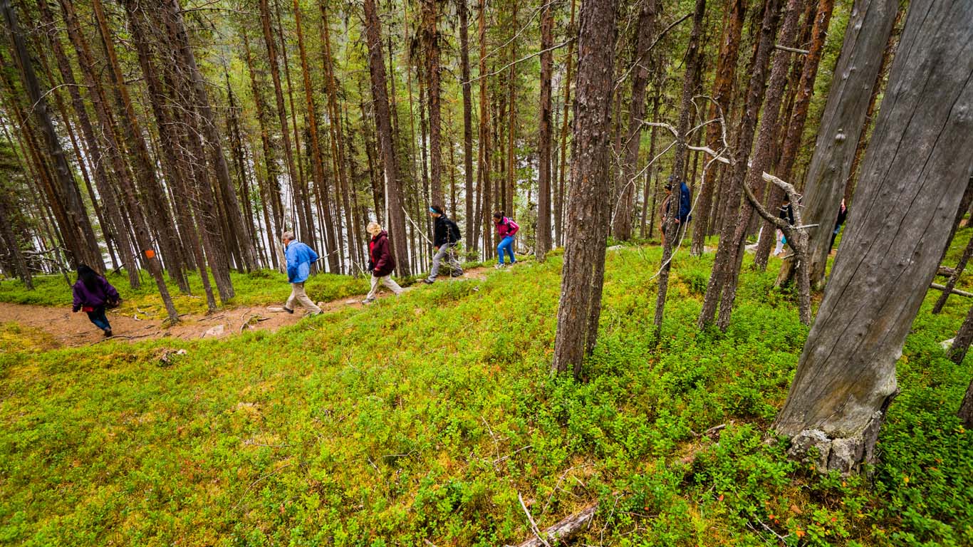 Cruise on Lemmenjoki river & visit at Sámi Museum