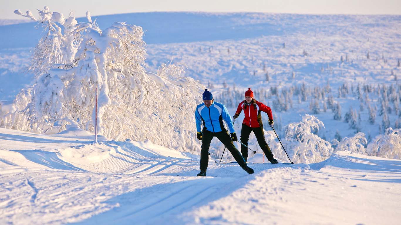 Skiing and ski school