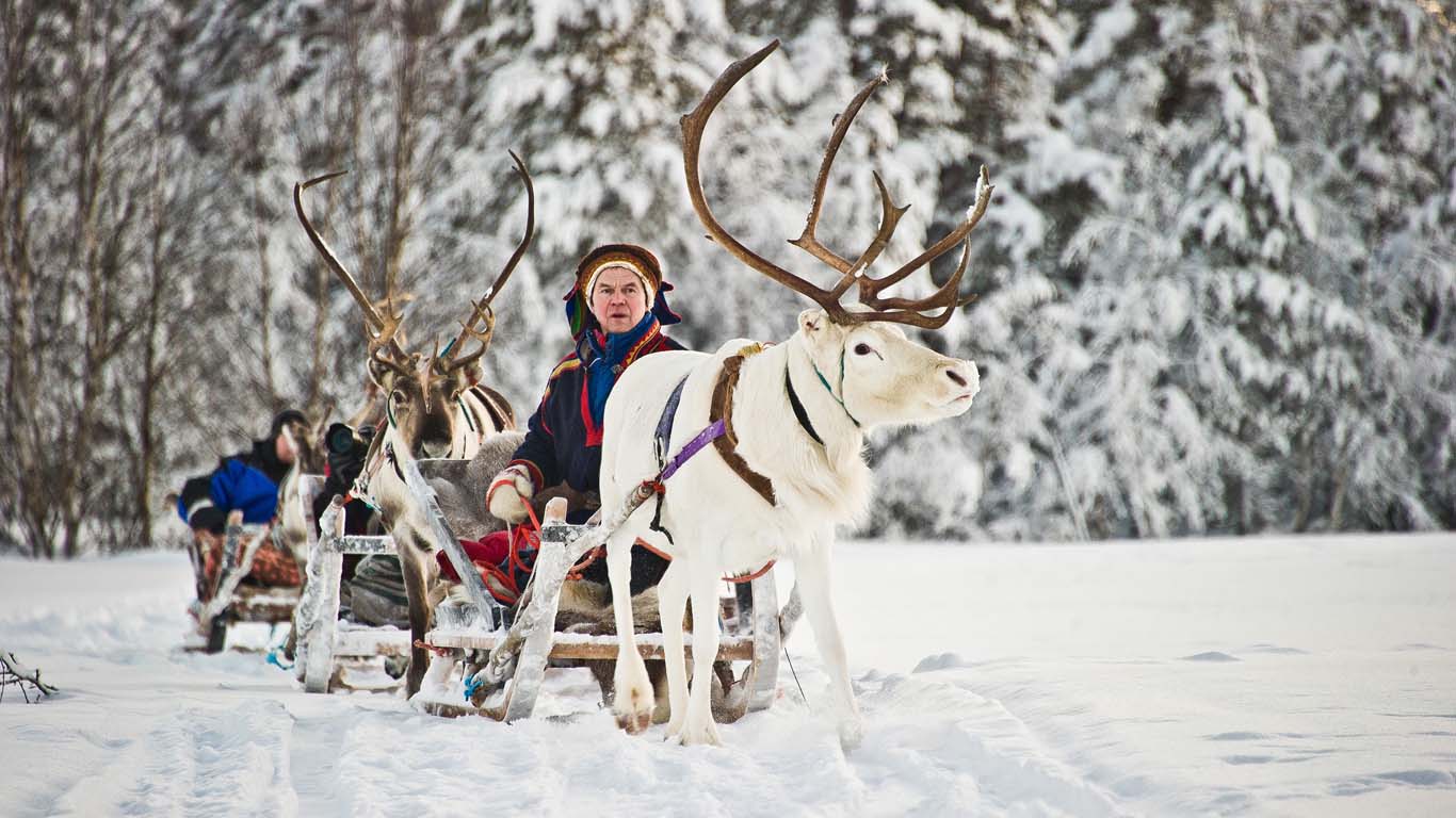 сафари на оленях