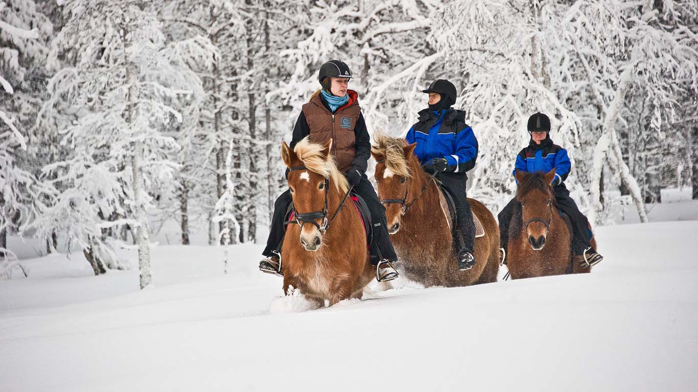 Reiten und Schlittenfahrten