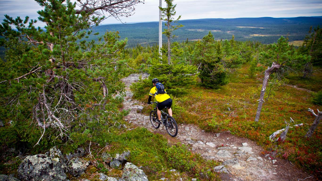 Vélo de montagne