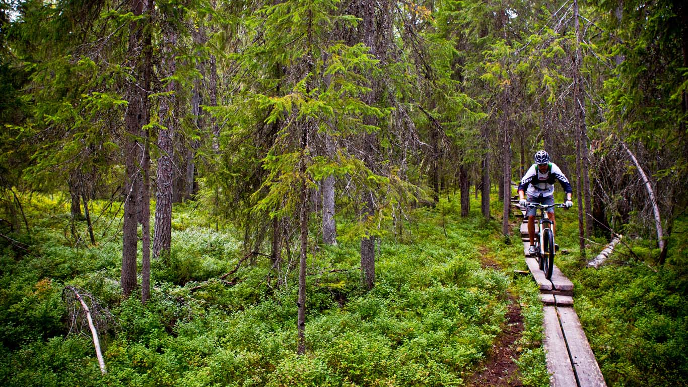 Andare in mountain bike